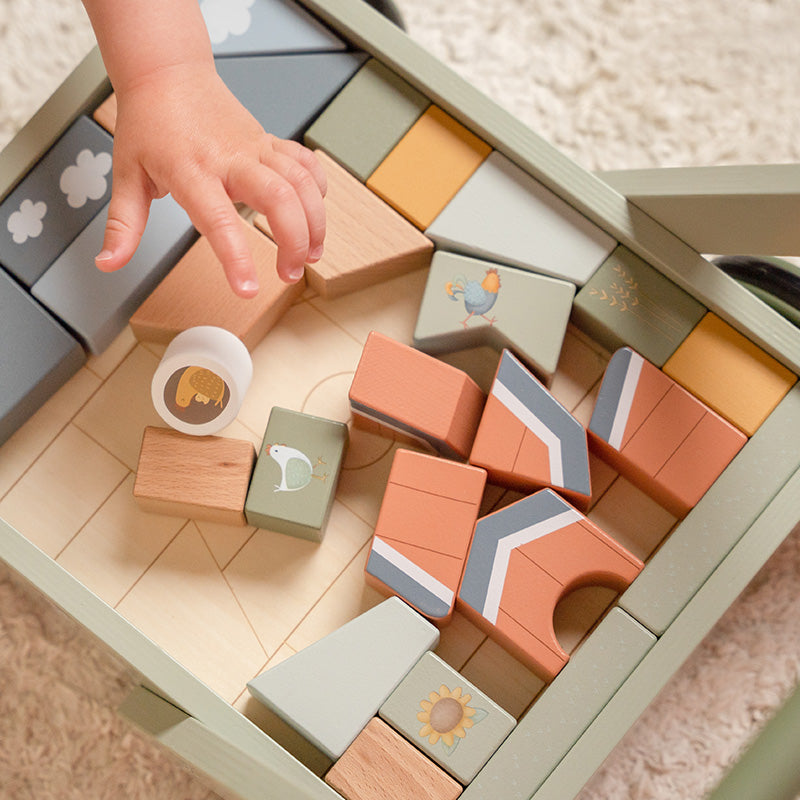 Trolley primi passi con mega block Little Farm